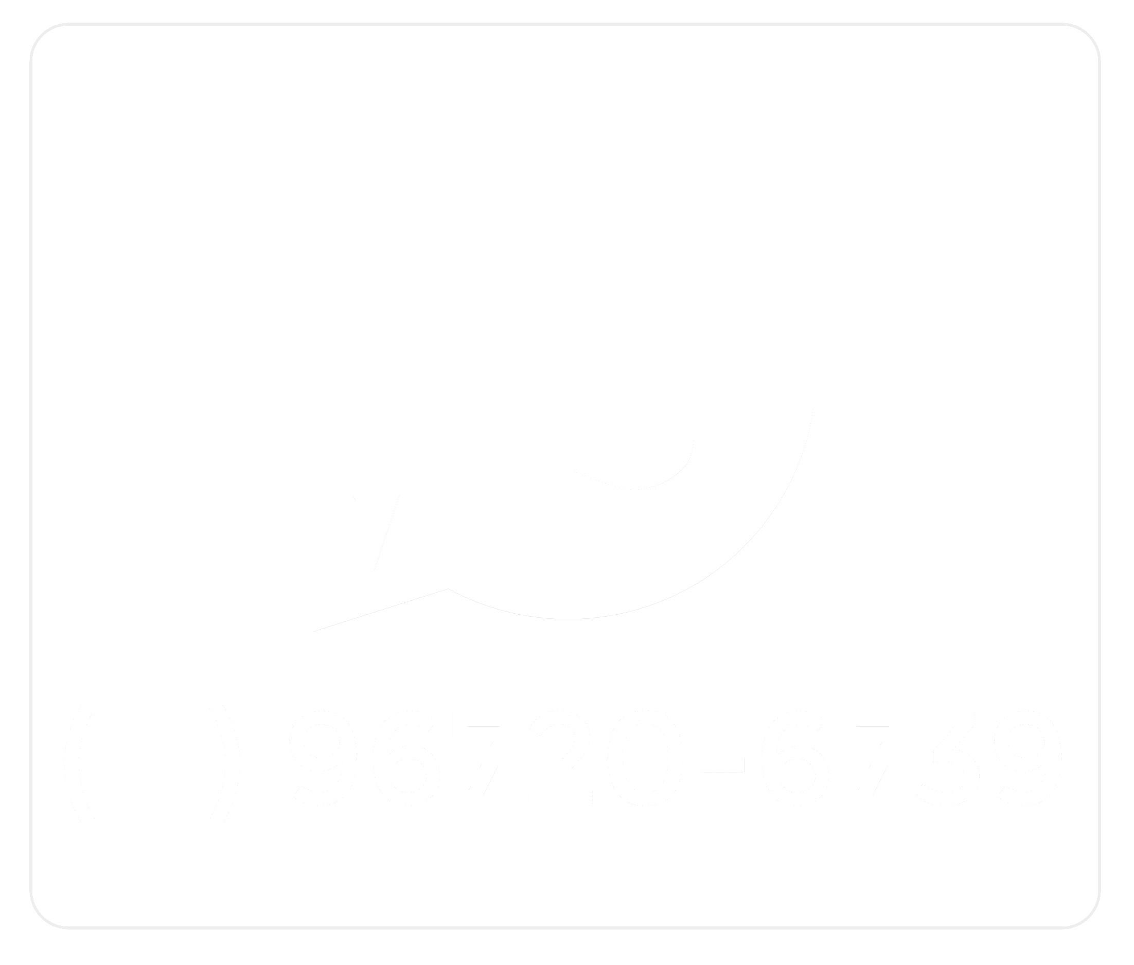 Dedetização de cupins